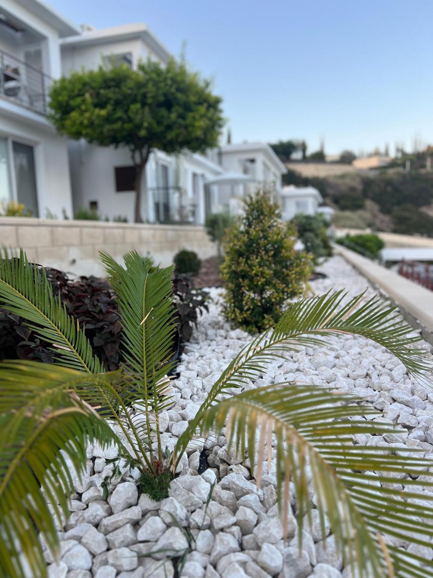 דירות Pissouri Image מראה חיצוני תמונה